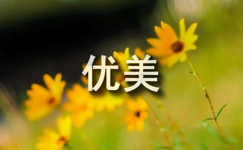篮球青训营中的体能训练方案有哪些?_2